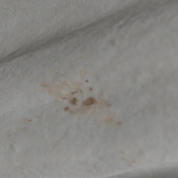 Flobert Vintage Long Sheer Pale Lime Green 50s/60s (?) Sleep Robe - Picture 11 of 12